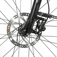 Winora Yucatan 10 | 2021 - M - 6889KM - Loop Sports