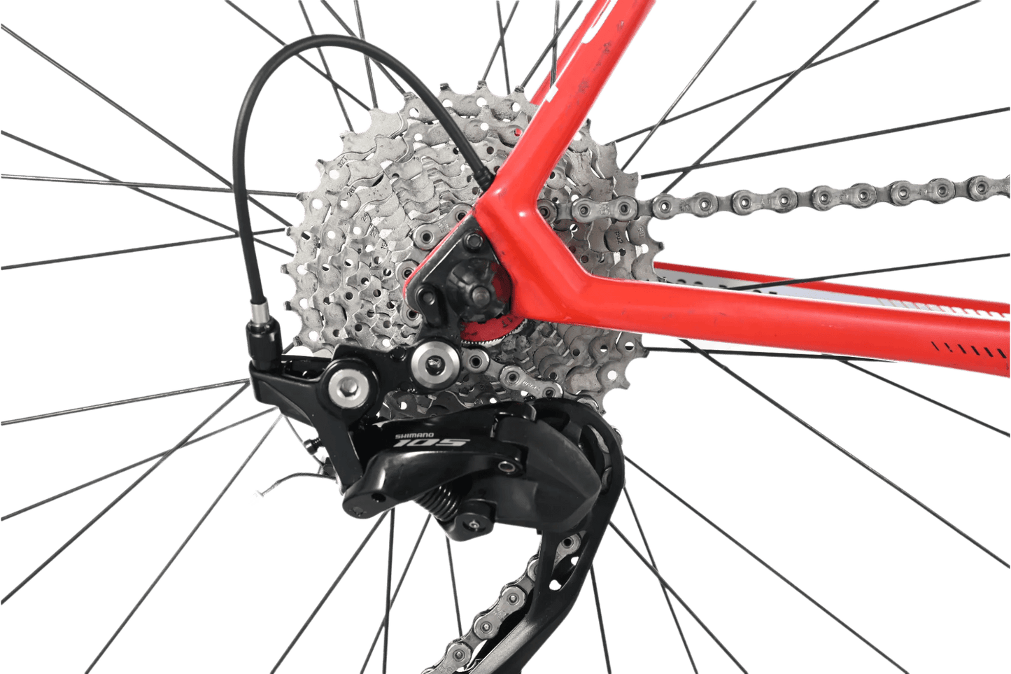 Focus Izalco Race | 2018 - 56CM - Loop Sports