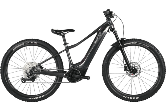 Giant Liv Vall E+ Pro | 2021 - XS - 1150KM - Loop Sports