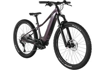 Giant Liv Vall E+ Pro | 2021 - XS - 701KM - Loop Sports