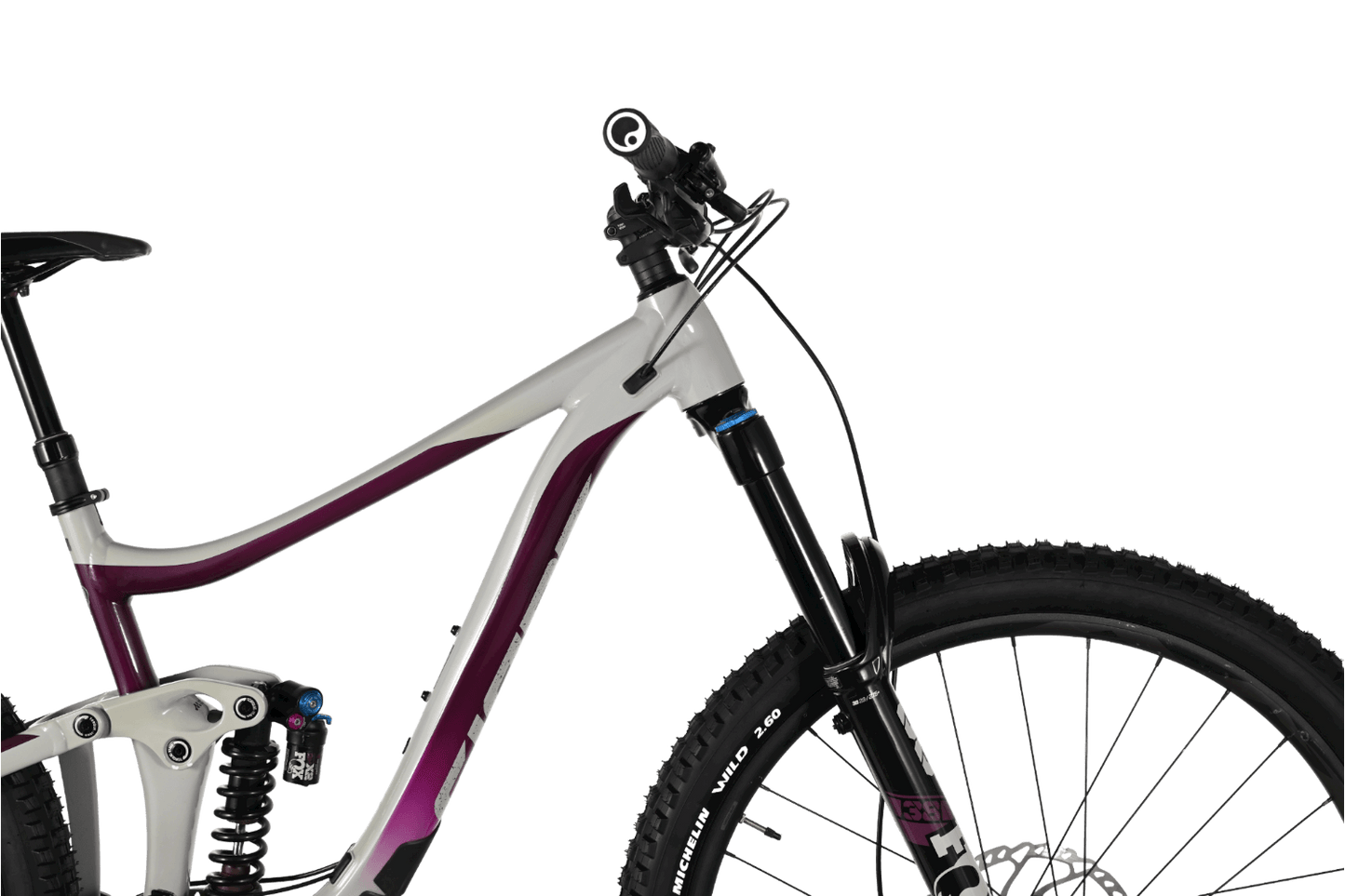Giant Reign 29 SX | 2021 - M - Loop Sports