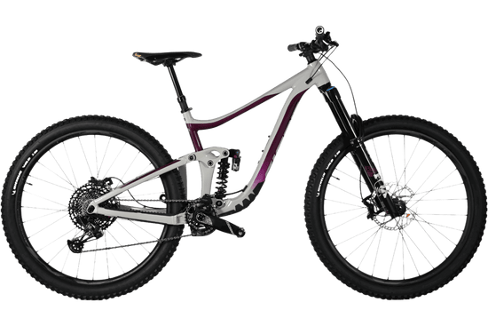 Giant Reign 29 SX | 2021 - M - Loop Sports
