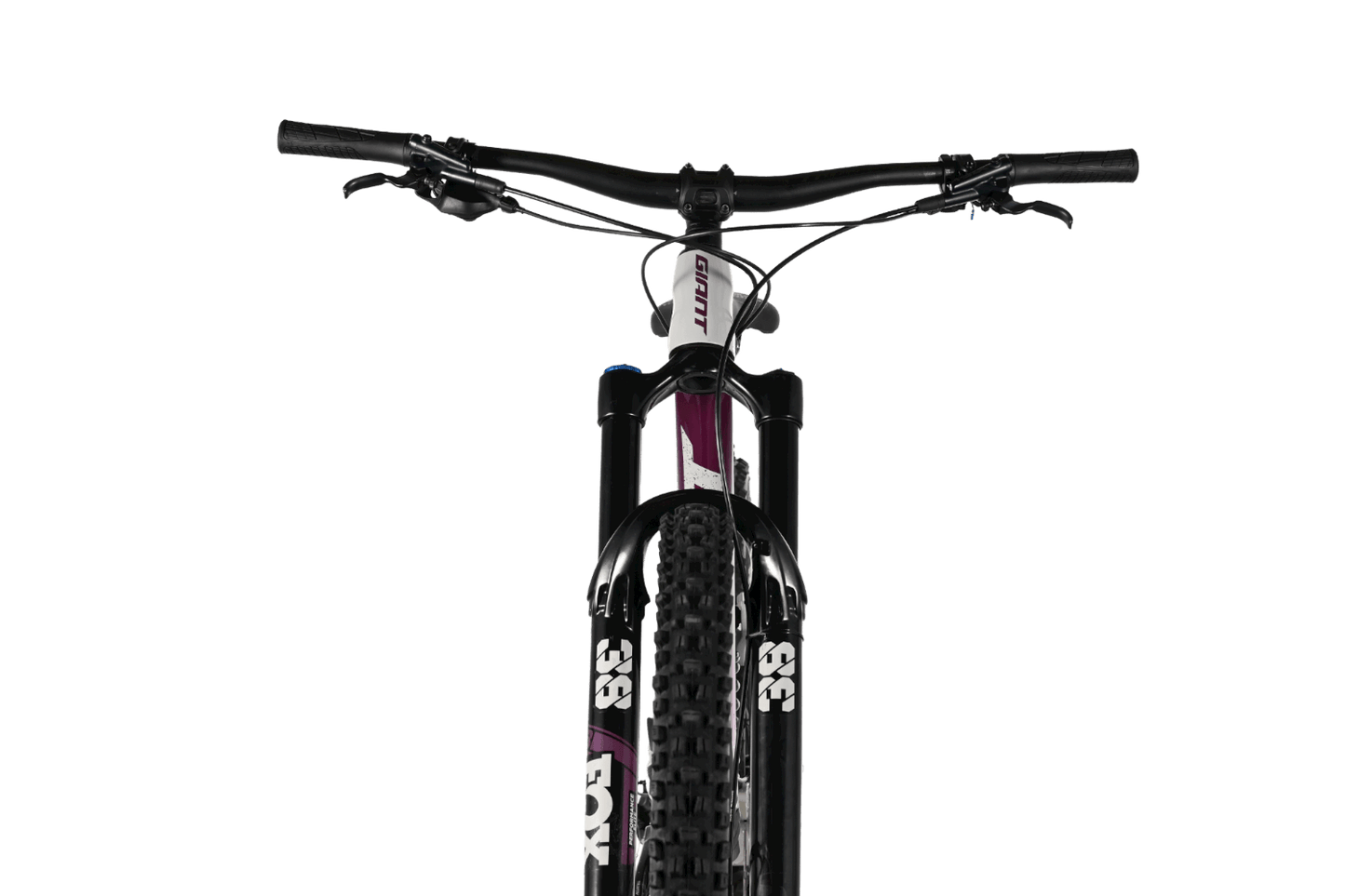 Giant Reign 29 SX | 2021 - S - Loop Sports
