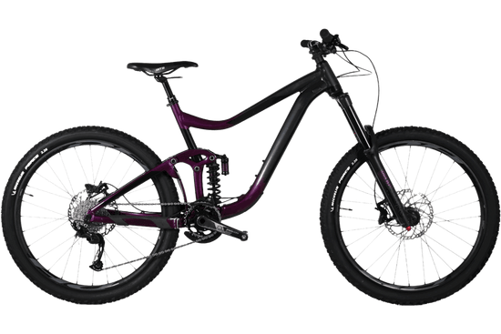 Giant Reign SX | 2020 - L - Loop Sports
