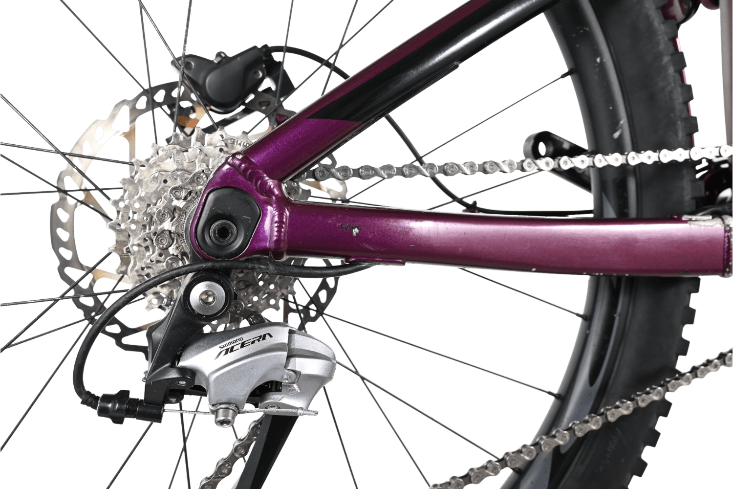Reign sx 2020 sales
