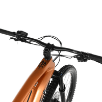 Haibike AllMtn CF 6 | 2023 - L - 1157KM - Loop Sports