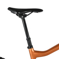 Haibike AllMtn CF 6 | 2023 - L - 1157KM - Loop Sports