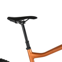 Haibike AllMtn CF 6 | 2023 - XL - 534KM - Loop Sports