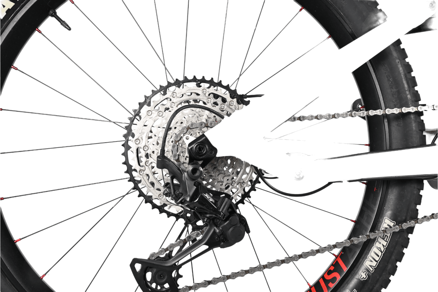 Moustache Samedi 27 Trail 8 2020 M 1291KM Loop Sports